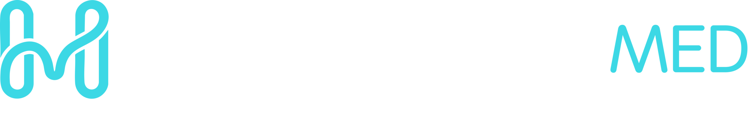 LOGO PRINCIPAL